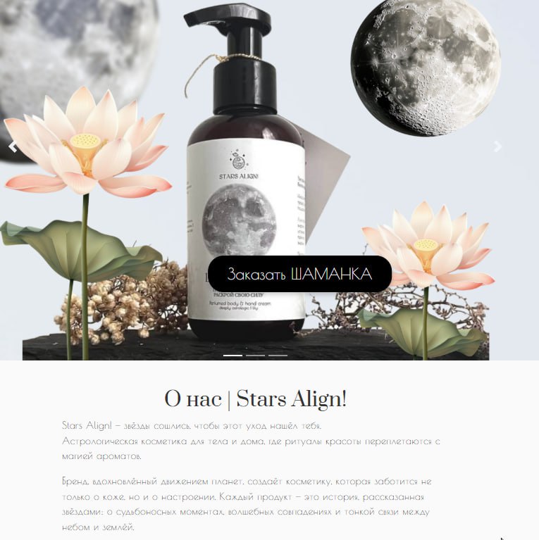 Презентационный сайт по брендбуку